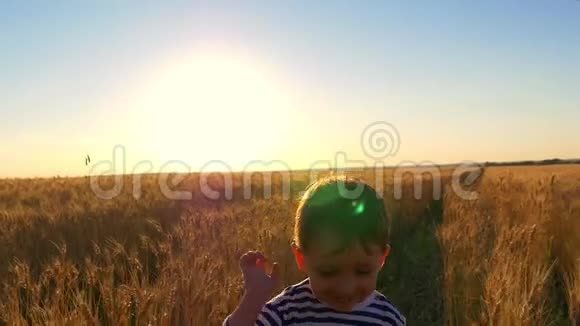 一个快乐的孩子在日落的背景下缓慢地在麦田里奔跑孩子很开心笑了视频的预览图