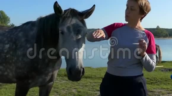快乐的女人用手抚摸一匹漂亮的马视频的预览图
