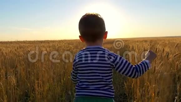 孩子们在日落的背景下缓慢地在麦田里奔跑孩子开心笑视频的预览图