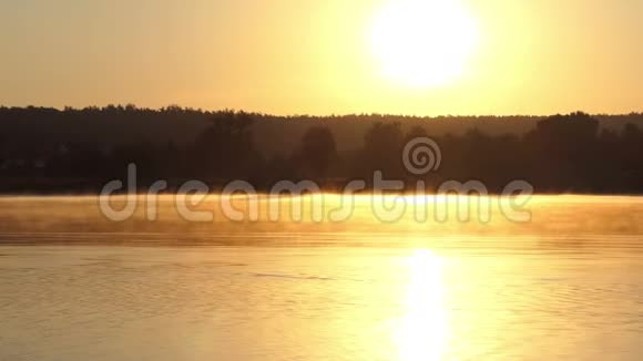 薄雾湖和一个女人看着照片专辑日落在斯洛文尼亚视频的预览图