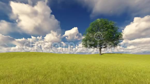 田野上的绿树多风的多云天空视频的预览图