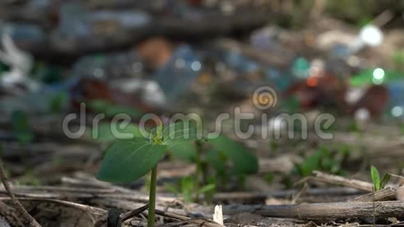 从地上的一堆垃圾中长出一个绿色的嫩芽大自然母亲为她的领土而战视频的预览图