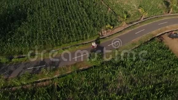 4K航空无人机镜头的年轻夫妇游客骑摩托车在日落时间巴厘岛视频的预览图