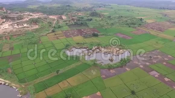 印尼斯拉维市美丽的空中空中稻田景观视频的预览图