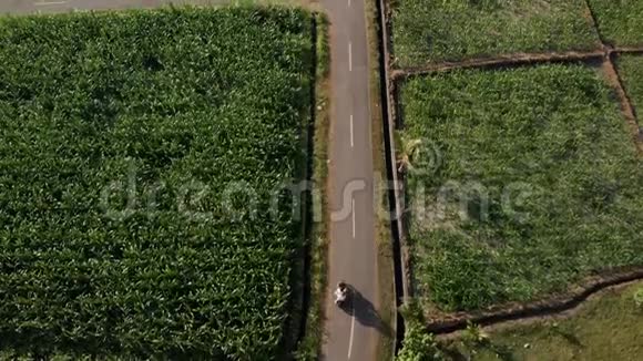 4K航空无人机镜头的年轻夫妇游客骑摩托车在日落时间巴厘岛视频的预览图