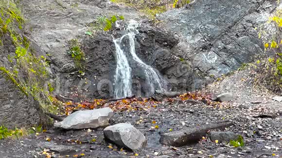 秋天森林中的瀑布地上有黄叶视频的预览图