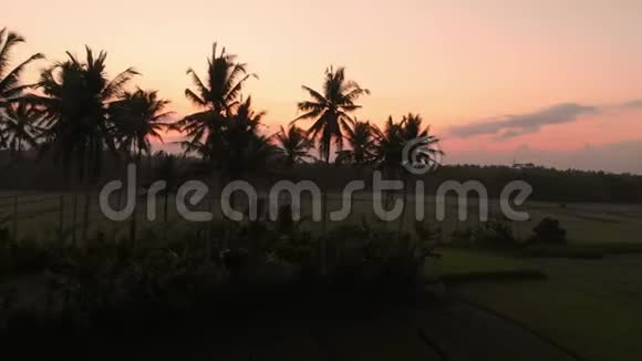 在巴厘岛日出或日落时用米台景观的鸟瞰视频的预览图