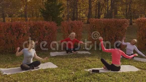 女人在公园里伸展和练习瑜伽视频的预览图