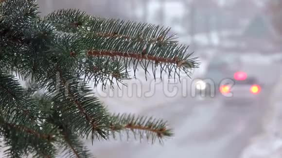 下雪了满是雪和水滴的树枝汽车在路上行驶视频的预览图