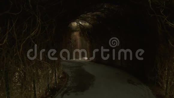 秘密花园里的隧道视频的预览图