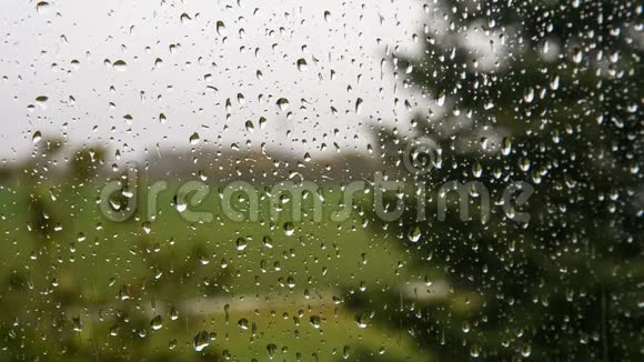 雨滴在窗户玻璃上视频的预览图