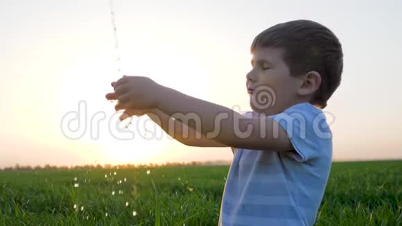 快乐的孩子在夏日的夕阳下在绿色的田野和粉红色的天空的背景下在大自然中洗手视频的预览图