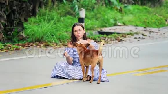 泰国玩街狗的年轻女子视频的预览图