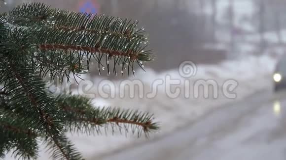 下雪了满是雪和水滴的树枝汽车在路上行驶视频的预览图