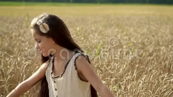 美丽的黑发女孩穿过金色的麦田这个可爱的女孩在田里玩麦穗视频的预览图