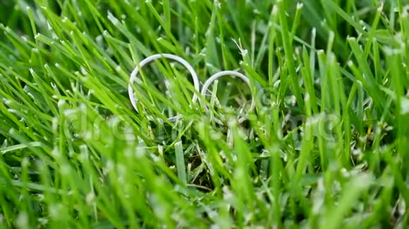 两枚白金结婚戒指坐在绿草地上视频的预览图