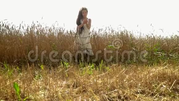 美丽的黑发女孩考虑小麦种子这个小女孩在俄罗斯成熟的领域付出了代价视频的预览图