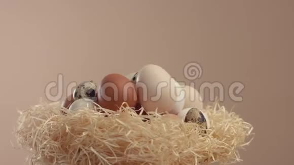 巢的另一种蛋在它的轴上滚动视频的预览图