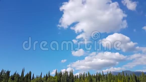 晴朗的夏日白云和绿柏时光流逝视频的预览图
