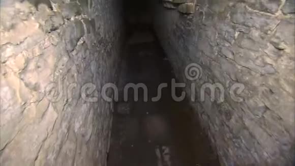 地下酒窖视频的预览图