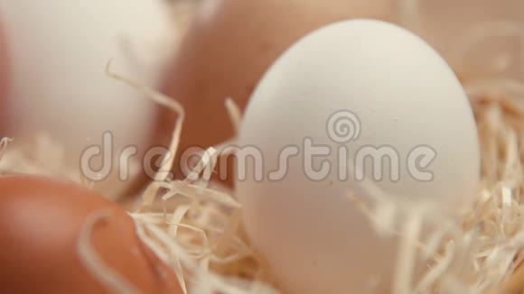男人的手从巢中取出一个蛋视频的预览图
