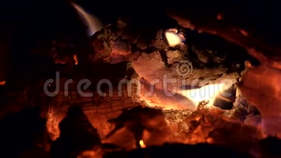 在黑夜里开火夜晚篝火的火焰慢慢地舔着柴火视频的预览图