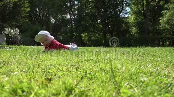 小新生婴儿躺在草坪草上研究4K视频的预览图