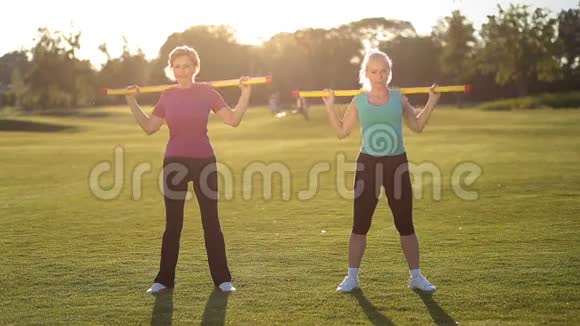 运动的女士用健身棒做健身运动视频的预览图