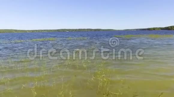 空中观景用芦苇在湖面上空起飞视频的预览图