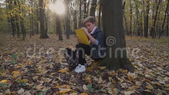 孩子在森林里读笔记本视频的预览图