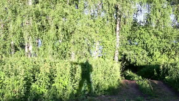 影子在灌木丛上跳舞视频的预览图
