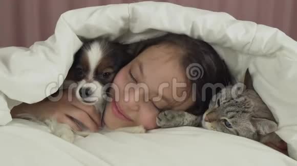 快乐少女与狗狗Papillon和泰猫在床上交流视频视频的预览图