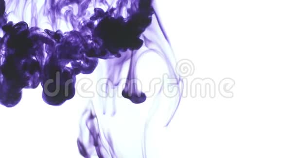 白色背景下的紫色或紫色食物色墨水滴视频的预览图