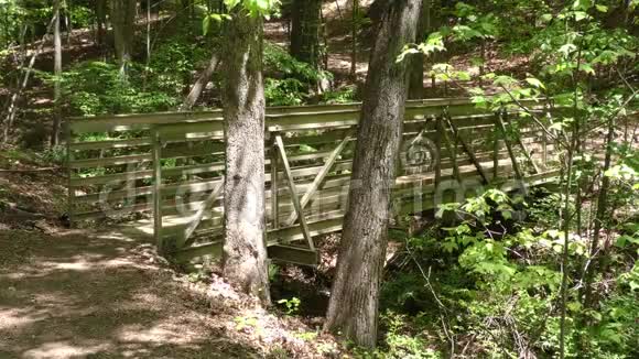 乔治亚州苏瓦尼溪公园苏瓦尼溪附近一条小溪上的金属和木桥视频的预览图