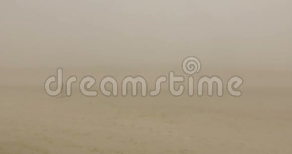性感少女在Dzharylhach岛的沙滩上转身视频的预览图