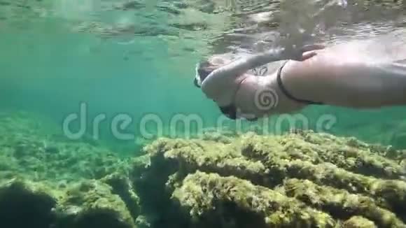 一位穿着黑色比基尼的年轻美女从水下自由泳和透明海豚泳中慢动作视频的预览图