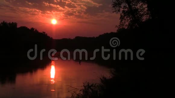 太阳从野河上升起视频的预览图