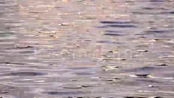 阳光彩水倒影动人视频的预览图