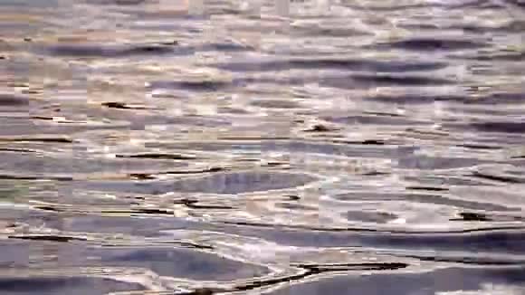 阳光彩水倒影动人视频的预览图