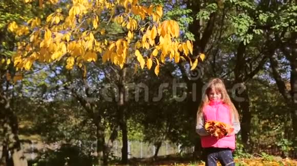 一个穿着粉色夹克的小女孩把她的叶子视频的预览图