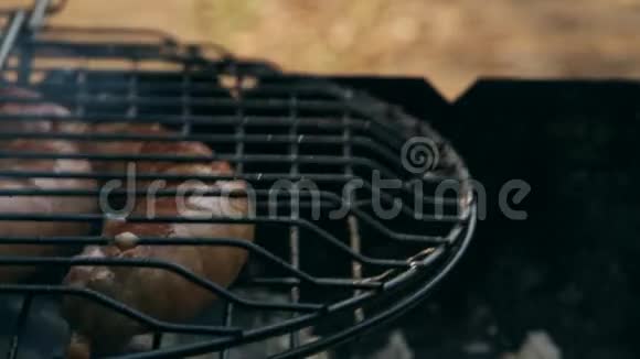 烧烤香肠品种原纽伦堡罗斯布拉特沃斯特视频的预览图