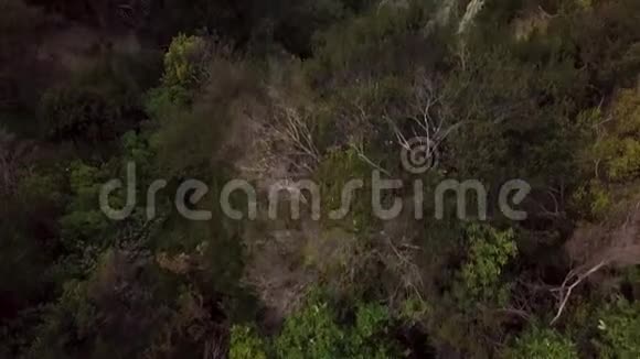 新西兰的空中揭示尖顶形成视频的预览图