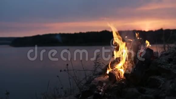 大夜篝火在河岸视频的预览图