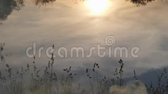 日落在天空中的日落和它在河水表面的反射夏日之夜吸烟俱乐部视频的预览图