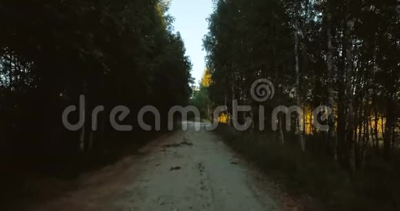 空中无人机观看森林中的道路村子里的绿树有松树和冷杉的俄罗斯风景晴天视频的预览图