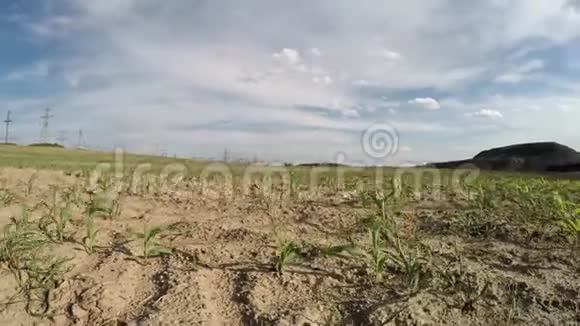庄稼枯干了农业用地1视频的预览图