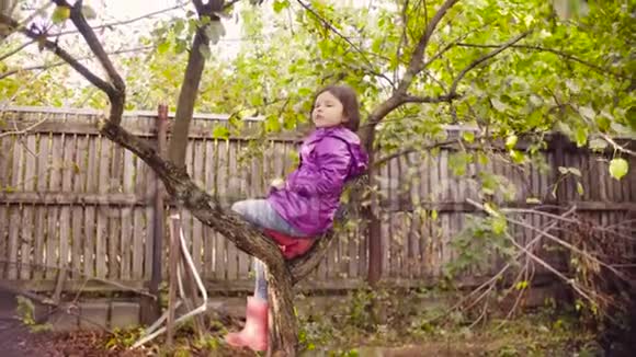 坐在树上吃苹果的小女孩视频的预览图