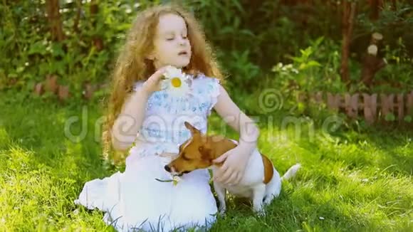 小卷发女孩戴西和小狗杰克罗素玩视频的预览图