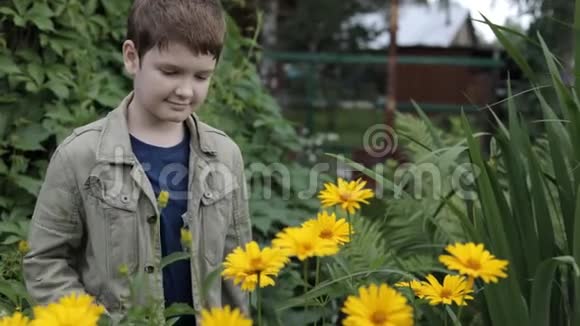 花园里的一个小男孩正在闻黄色的花过敏医学概念视频的预览图