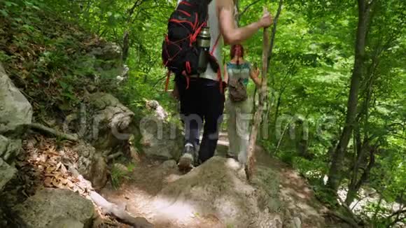 一群手里拿着木棍的游客沿着一条徒步小径在树林里散步视频的预览图